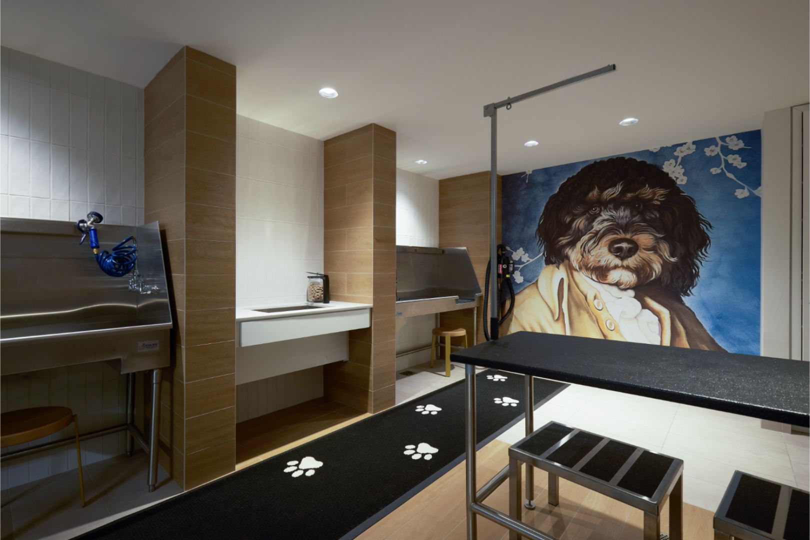 Pet Spa